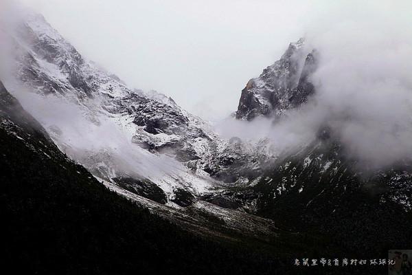 拯救精灵的土地10