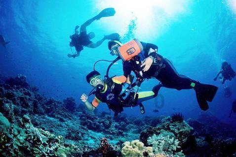 逃出海洋城堡