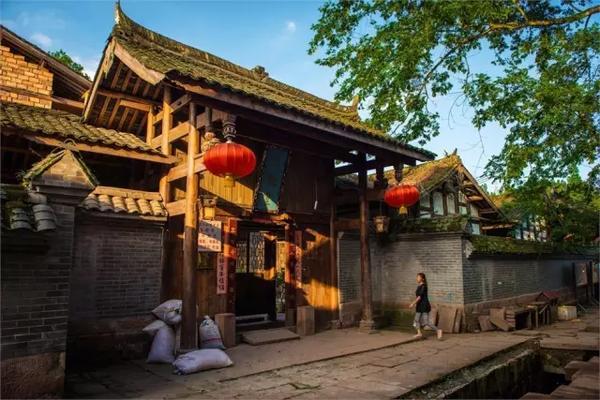 逗小猴开心系列206